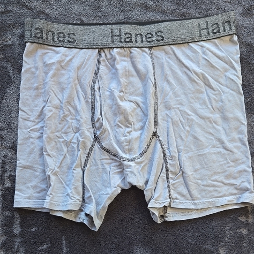 Hanes Gray Boxer Briefs Soft Stretchy Fabric